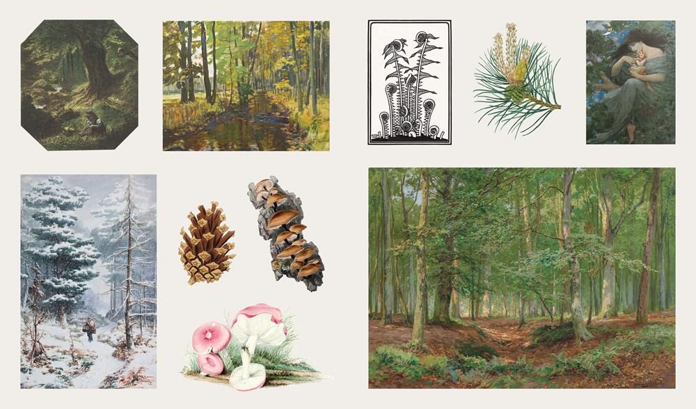 Woodland Adventures klistermærkebog